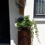 Haus Carmen, Familienfreundliche 4 Edelweiss Mit Einrichtung * 圣加伦基希