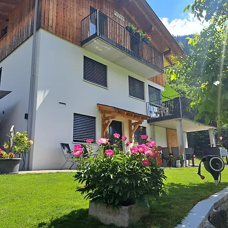 公寓 Haus Carmen, Familienfreundliche 4 Edelweiss Mit Einrichtung 圣加伦基希